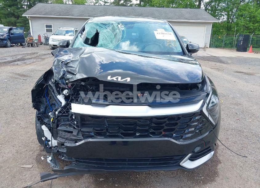 Photo 12 of 2024 Kia Sportage EX (VIN 5XYK33DF8RG216931)