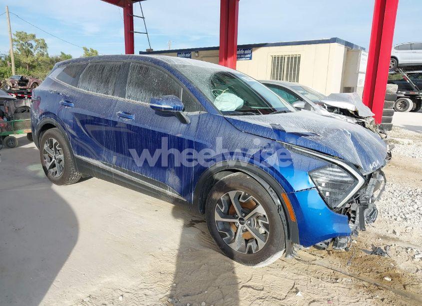 2024 Kia Sportage EX (VIN 5XYK33DF8RG220431) main photo