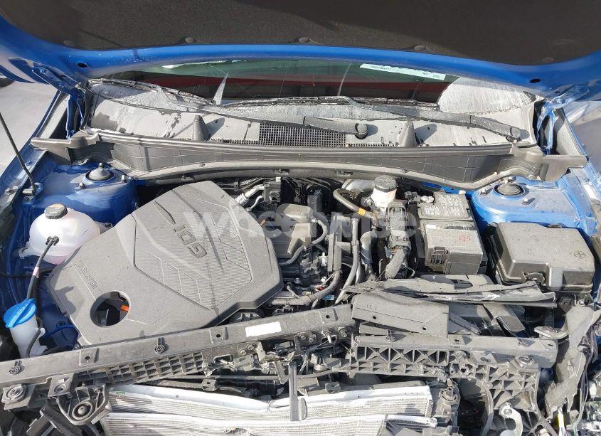 Photo 10 of 2024 Kia Sportage EX (VIN 5XYK33DF8RG220431)