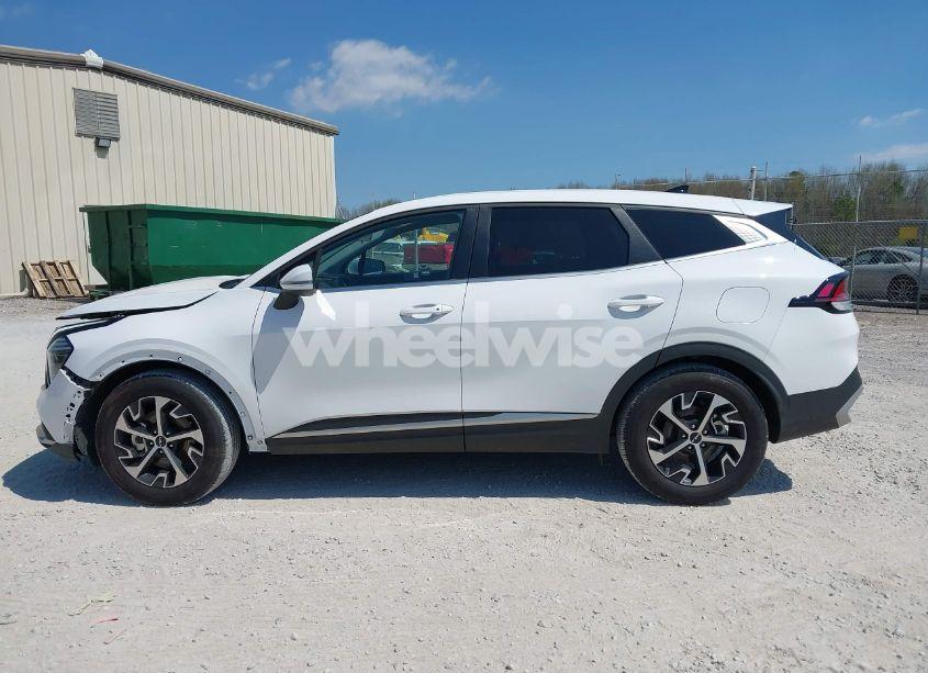 Photo 15 of 2024 Kia Sportage EX (VIN 5XYK33DF8RG220929)