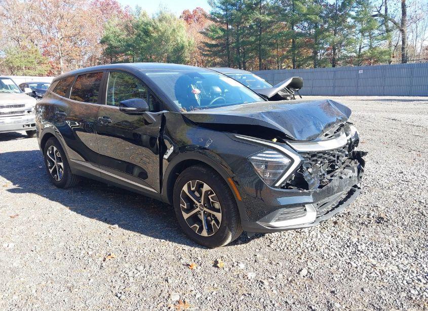 2024 Kia Sportage EX (VIN 5XYK33DF9RG142886) main photo