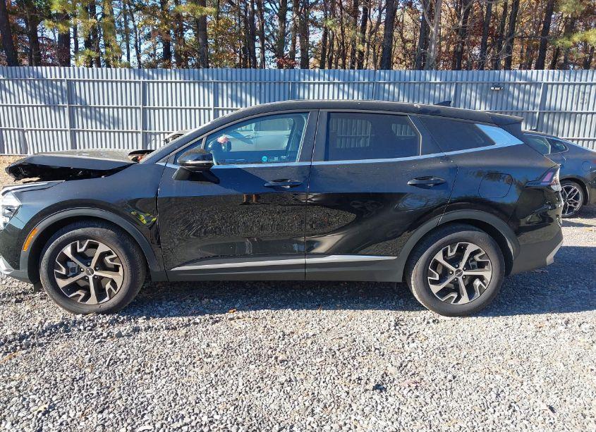 Photo 14 of 2024 Kia Sportage EX (VIN 5XYK33DF9RG142886)