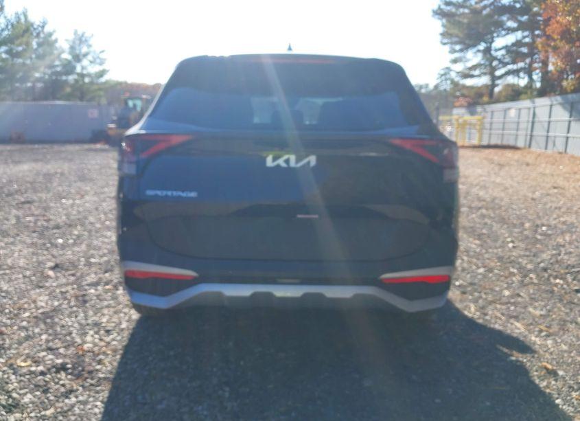 Photo 16 of 2024 Kia Sportage EX (VIN 5XYK33DF9RG142886)