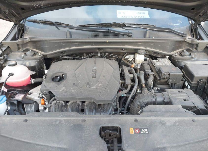 Photo 10 of 2024 Kia Sportage EX (VIN 5XYK33DFXRG168137)