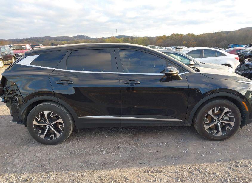 Photo 14 of 2024 Kia Sportage EX (VIN 5XYK33DFXRG168137)