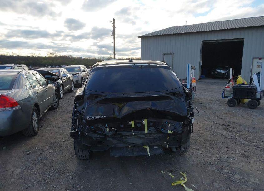 Photo 17 of 2024 Kia Sportage EX (VIN 5XYK33DFXRG168137)