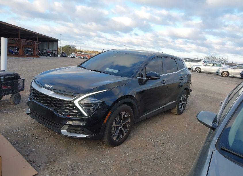 Photo 2 of 2024 Kia Sportage EX (VIN 5XYK33DFXRG168137)