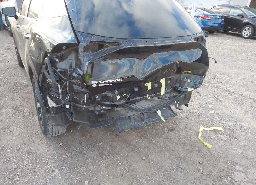 Photo 6 of 2024 Kia Sportage EX (VIN 5XYK33DFXRG168137)