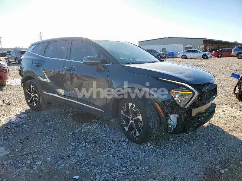 Photo 14 of 2024 KIA SPORTAGE EX (VIN 5XYK33DFXRG175136)