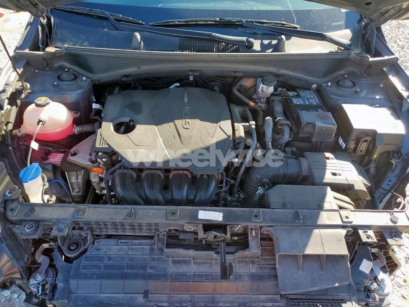 Photo 7 of 2024 KIA SPORTAGE EX (VIN 5XYK33DFXRG175136)