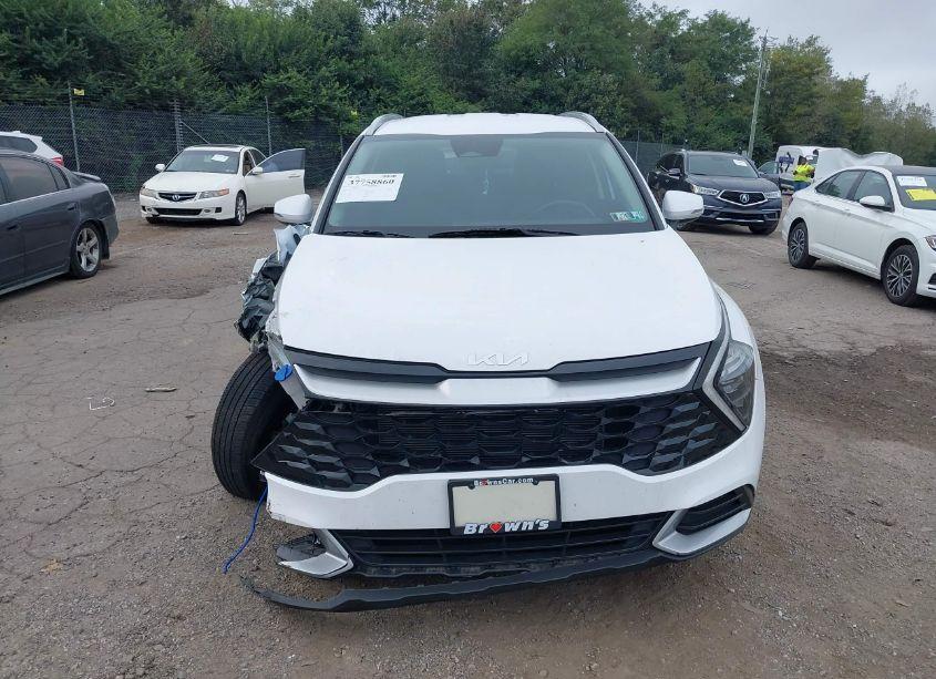 Photo 12 of 2023 Kia Sportage EX (VIN 5XYK3CAF1PG021299)