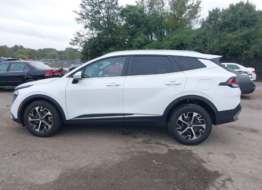 Photo 14 of 2023 Kia Sportage EX (VIN 5XYK3CAF1PG021299)