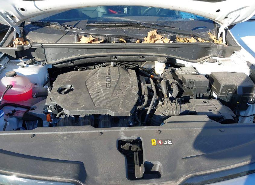Photo 10 of 2023 Kia Sportage EX (VIN 5XYK3CAF1PG109978)