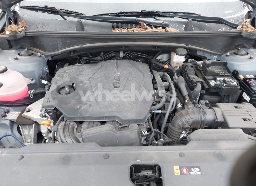 Photo 10 of 2023 Kia Sportage EX (VIN 5XYK3CAF1PG123038)