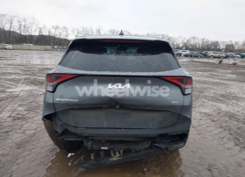 Photo 17 of 2023 Kia Sportage EX (VIN 5XYK3CAF1PG123038)