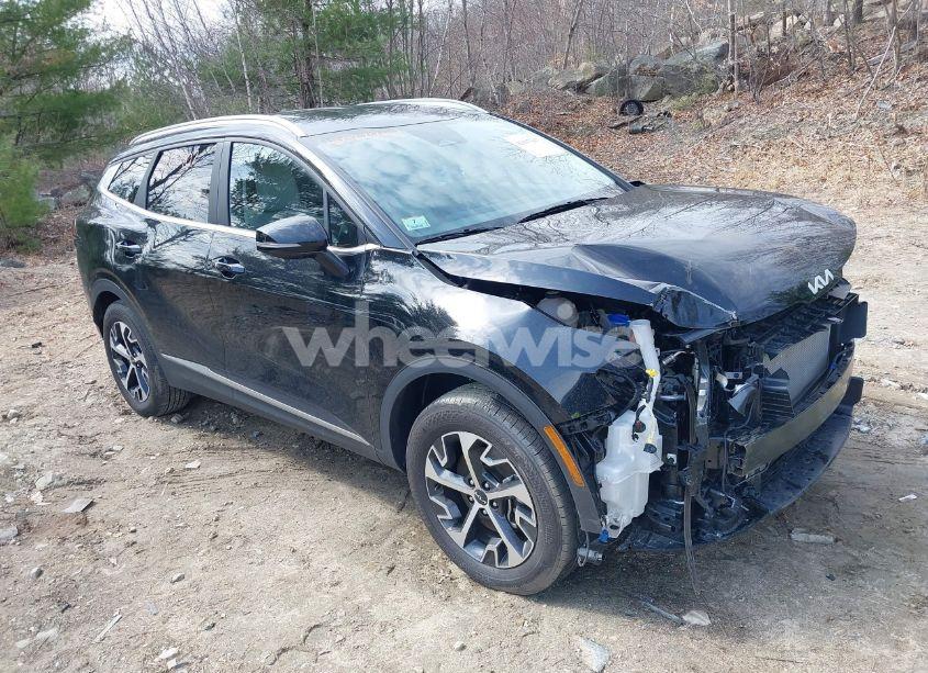 2023 Kia Sportage EX (VIN 5XYK3CAF5PG129408) main photo