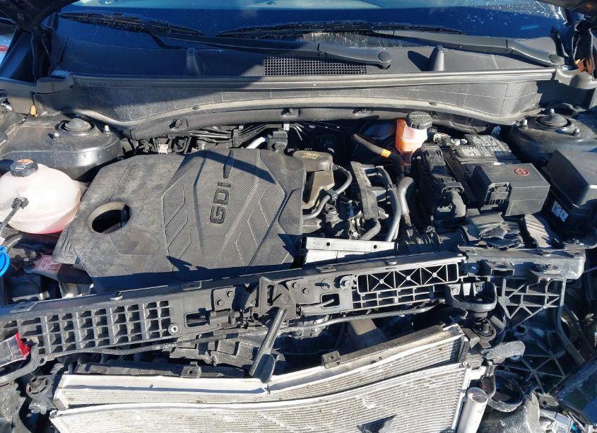 Photo 10 of 2023 Kia Sportage EX (VIN 5XYK3CAF6PG004711)