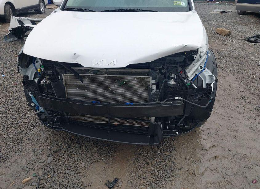 Photo 6 of 2023 Kia Sportage EX (VIN 5XYK3CAF7PG114957)