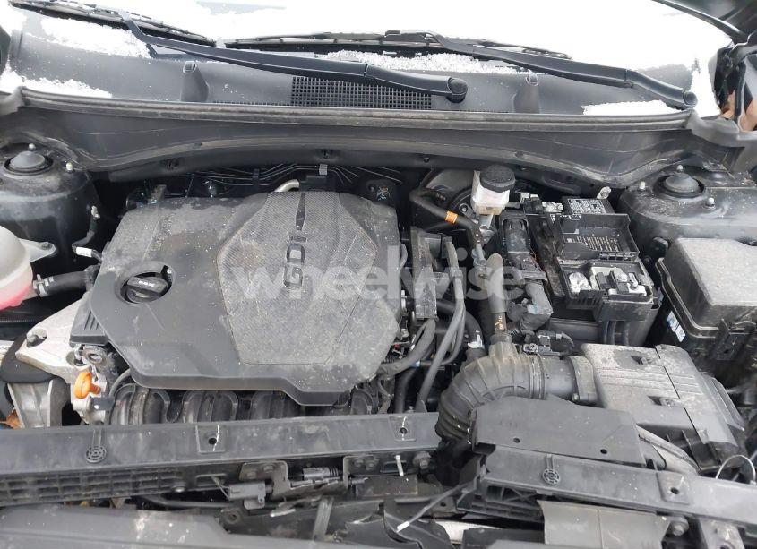 Photo 10 of 2023 Kia Sportage EX (VIN 5XYK3CAF8PG128558)