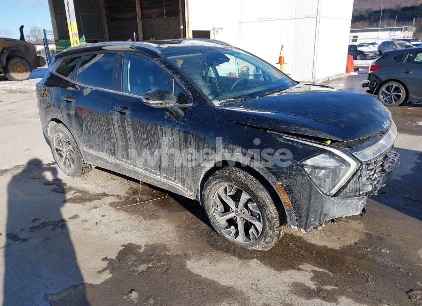2023 Kia Sportage EX (VIN 5XYK3CAF9PG007392) main photo