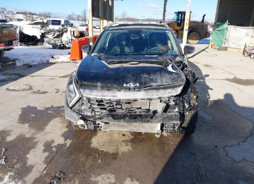 Photo 13 of 2023 Kia Sportage EX (VIN 5XYK3CAF9PG007392)