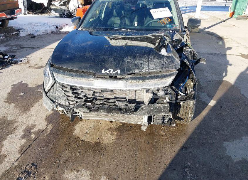 Photo 6 of 2023 Kia Sportage EX (VIN 5XYK3CAF9PG007392)