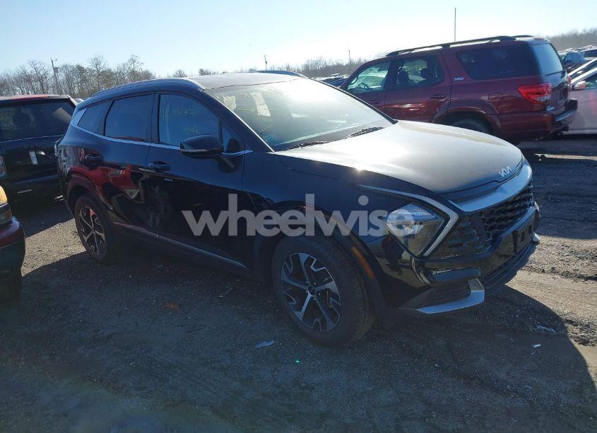 2023 Kia Sportage EX (VIN 5XYK3CAF9PG014312) main photo