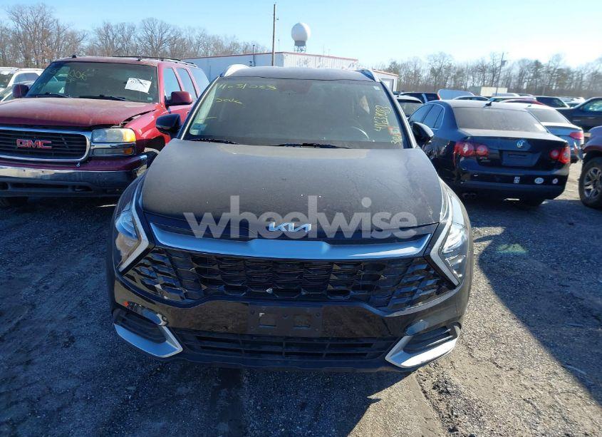 Photo 12 of 2023 Kia Sportage EX (VIN 5XYK3CAF9PG014312)