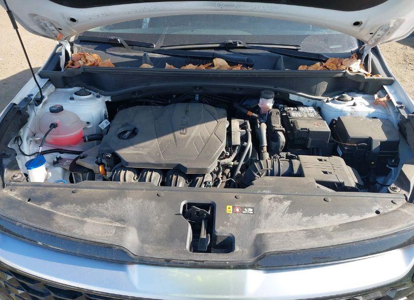 Photo 10 of 2023 Kia Sportage EX (VIN 5XYK3CAF9PG024578)