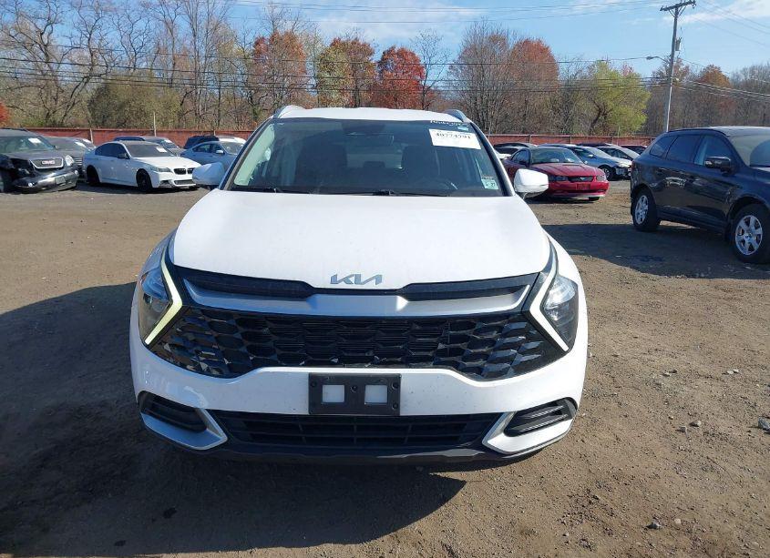 Photo 12 of 2023 Kia Sportage EX (VIN 5XYK3CAF9PG024578)