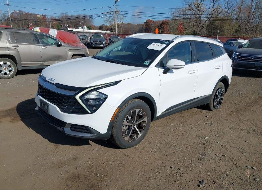 Photo 2 of 2023 Kia Sportage EX (VIN 5XYK3CAF9PG024578)