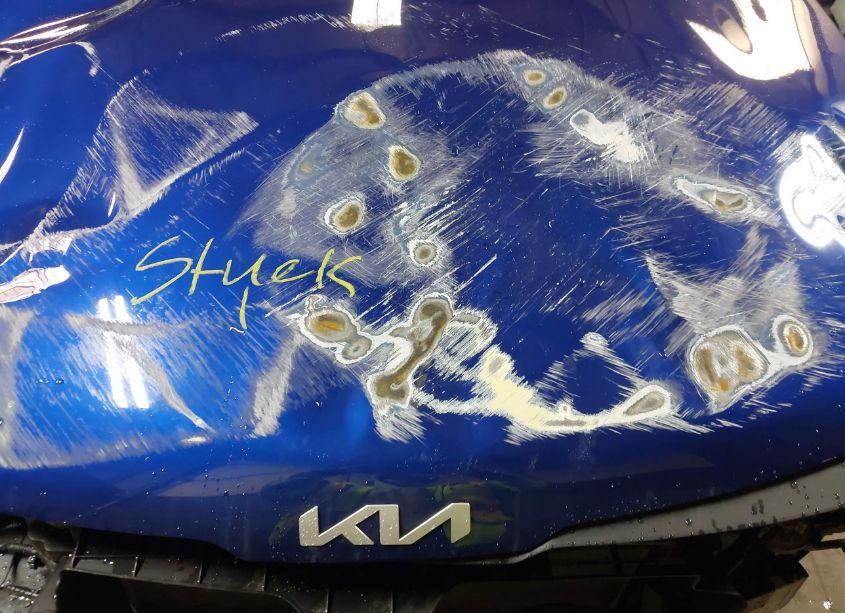 Photo 10 of 2023 Kia Sportage EX (VIN 5XYK3CAF9PG122087)