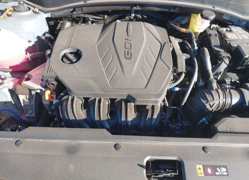 Photo 10 of 2025 Kia Sportage EX (VIN 5XYK3CDF0SG239920)