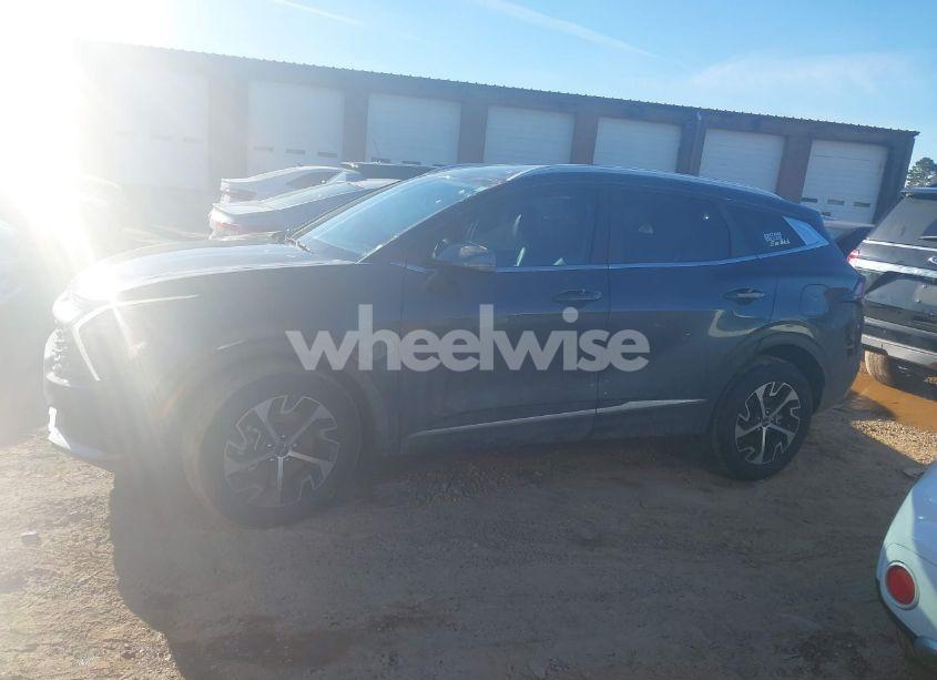 Photo 15 of 2024 Kia Sportage EX (VIN 5XYK3CDF2RG149324)