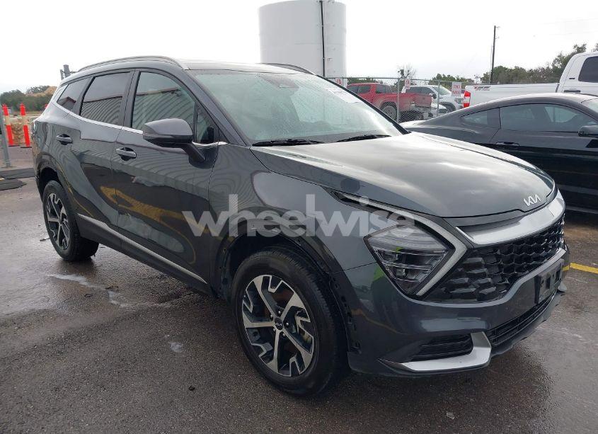 2024 Kia Sportage EX (VIN 5XYK3CDF2RG159304) main photo