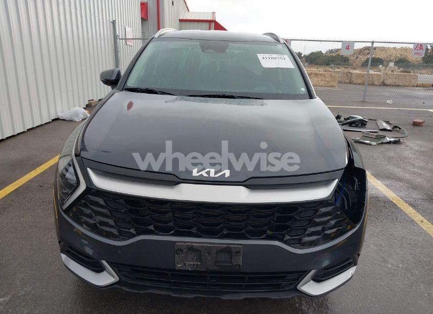 Photo 13 of 2024 Kia Sportage EX (VIN 5XYK3CDF2RG159304)
