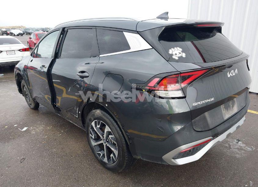 Photo 3 of 2024 Kia Sportage EX (VIN 5XYK3CDF2RG159304)