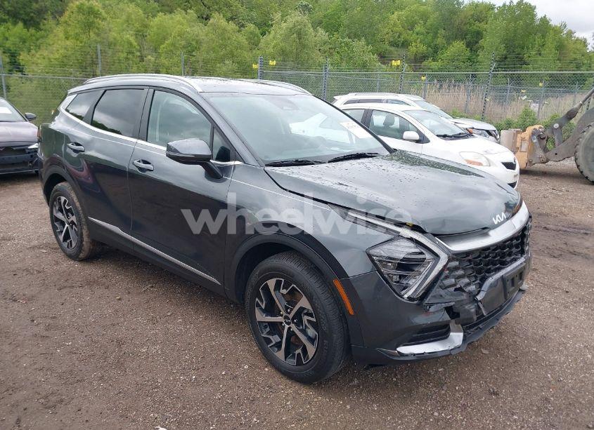 2024 Kia Sportage EX (VIN 5XYK3CDF2RG189869) main photo