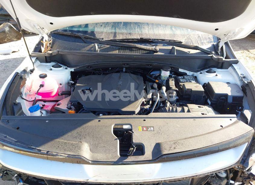 Photo 10 of 2025 Kia Sportage EX (VIN 5XYK3CDF4SG246952)