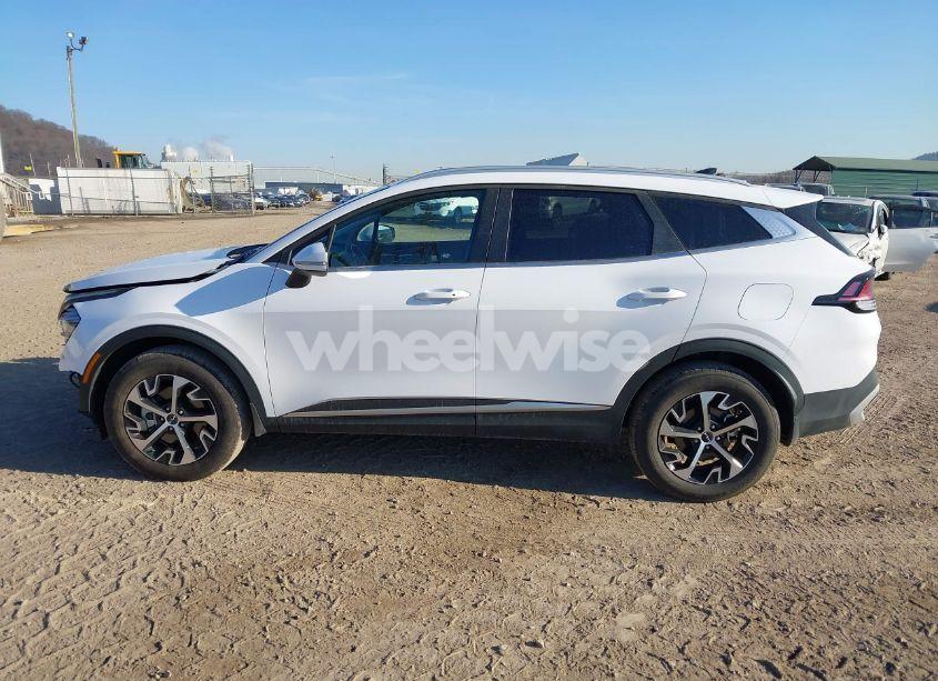 Photo 14 of 2025 Kia Sportage EX (VIN 5XYK3CDF4SG246952)