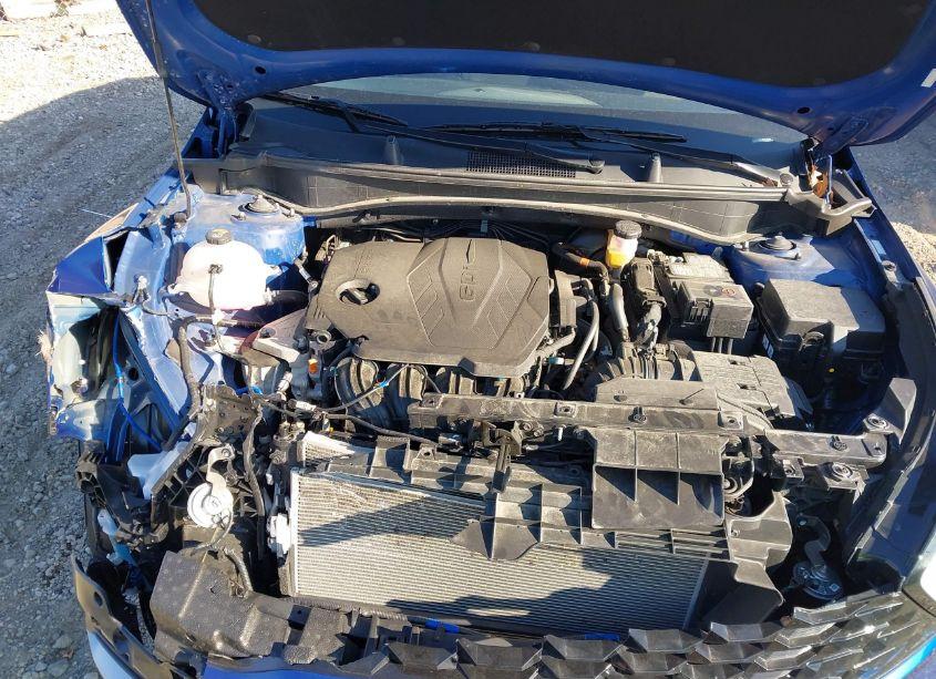 Photo 10 of 2024 Kia Sportage EX (VIN 5XYK3CDF5RG143470)