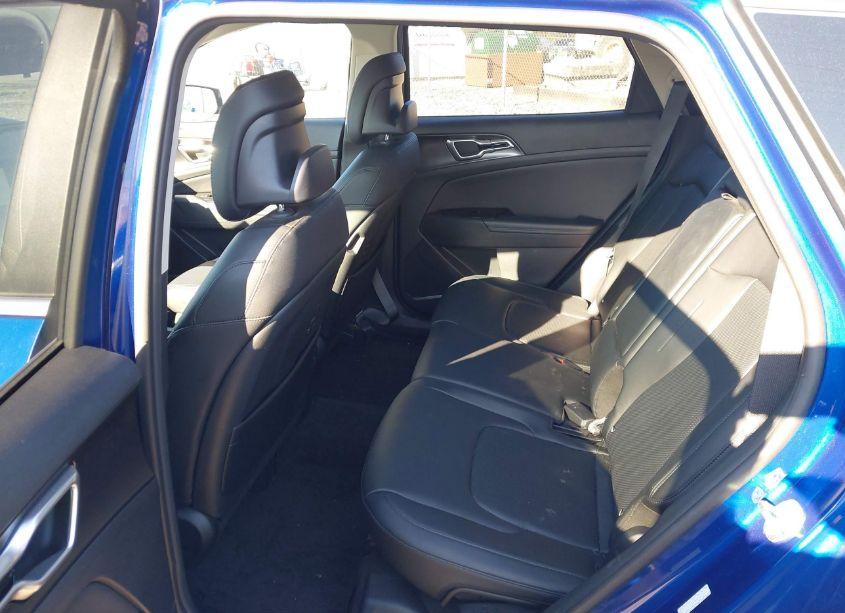 Photo 8 of 2024 Kia Sportage EX (VIN 5XYK3CDF5RG143470)