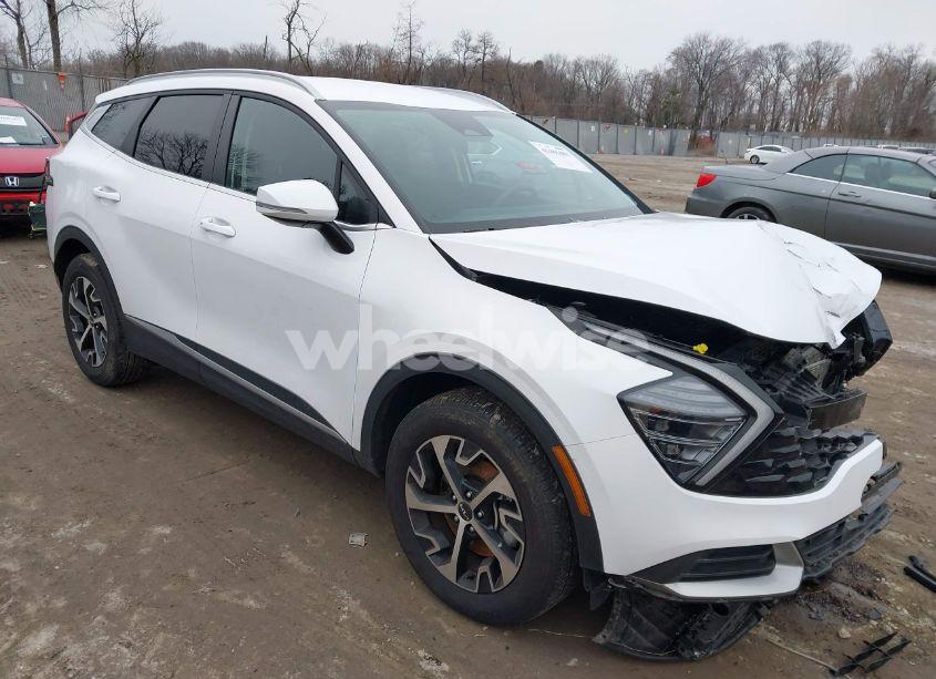 2024 Kia Sportage EX (VIN 5XYK3CDF5RG178056) main photo