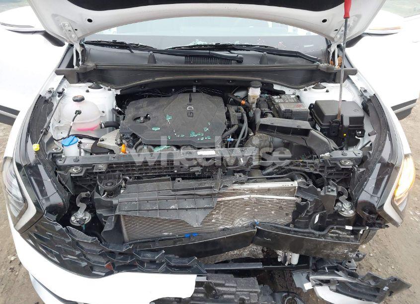 Photo 10 of 2024 Kia Sportage EX (VIN 5XYK3CDF5RG178056)