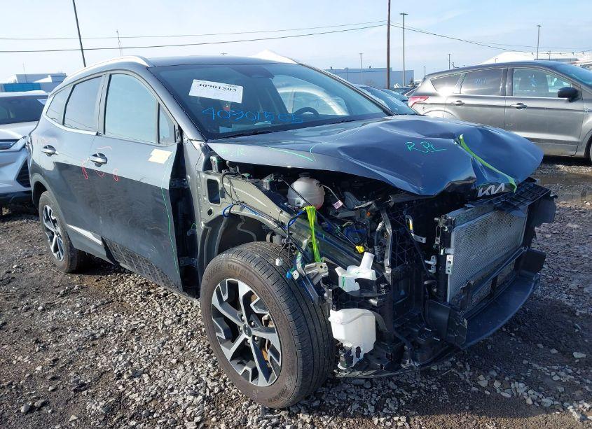 2024 Kia Sportage EX (VIN 5XYK3CDF6RG155126) main photo