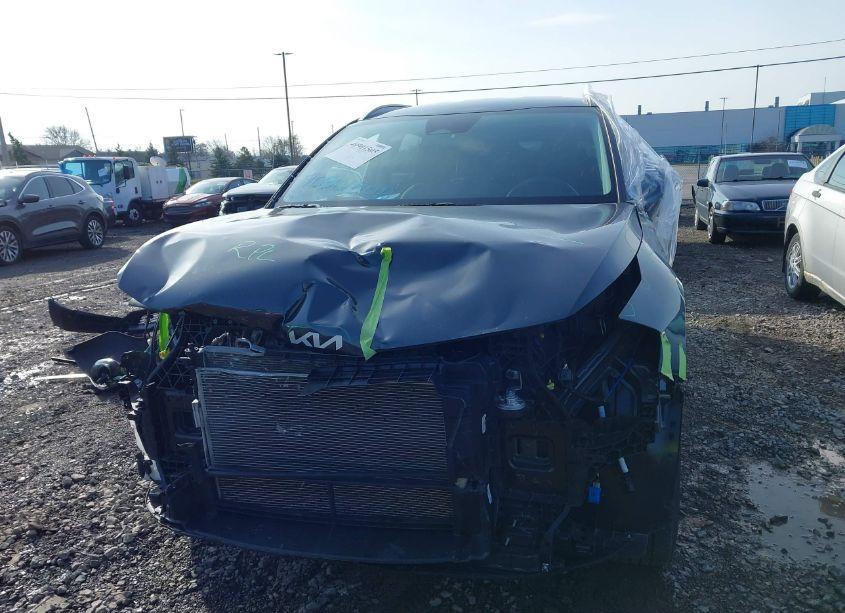 Photo 12 of 2024 Kia Sportage EX (VIN 5XYK3CDF6RG155126)