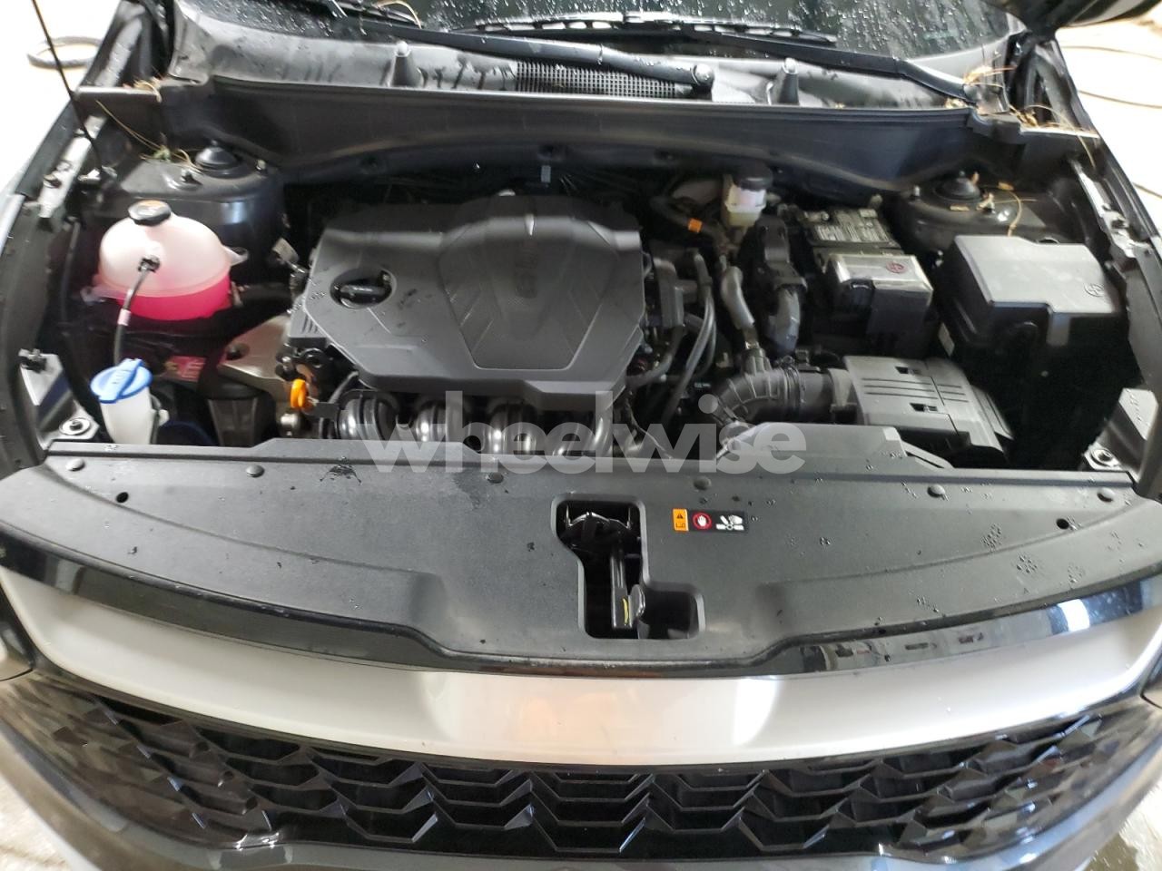 Photo 11 of 2025 KIA SPORTAGE EX (VIN 5XYK3CDF8SG242600)