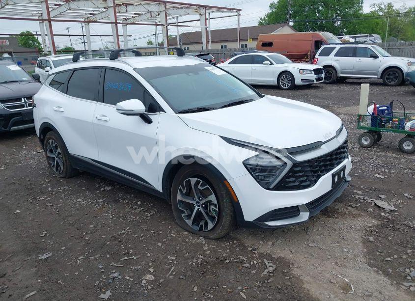 2024 Kia Sportage EX (VIN 5XYK3CDF9RG144847) main photo