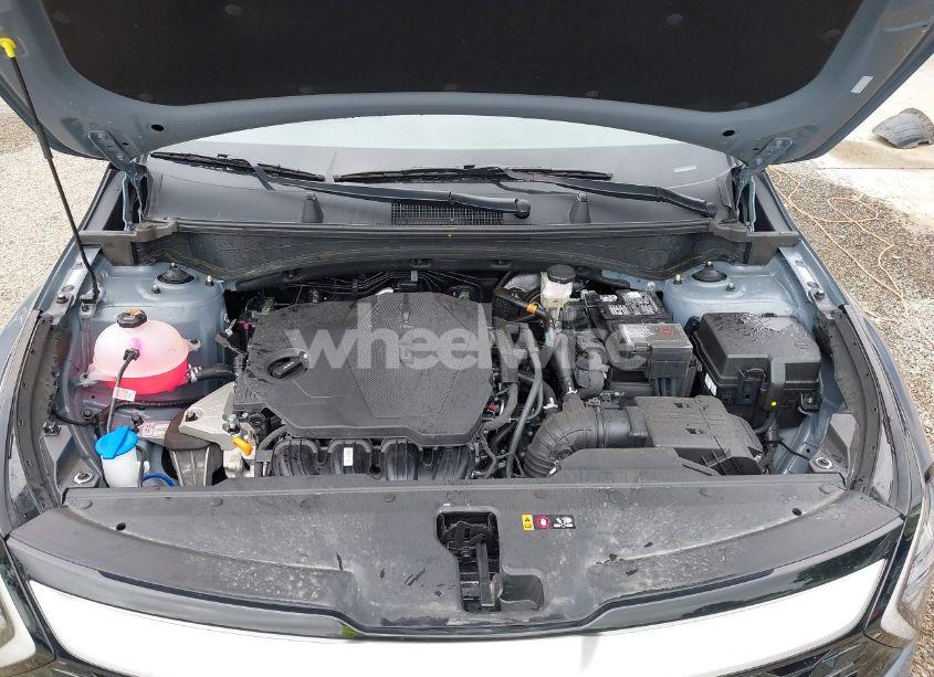 Photo 10 of 2025 Kia Sportage EX (VIN 5XYK3CDF9SG293216)