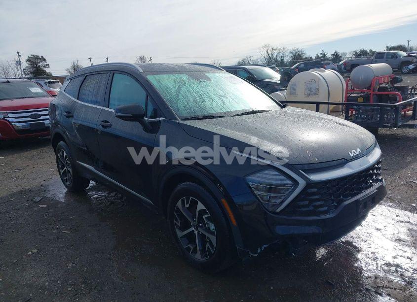2024 Kia Sportage EX (VIN 5XYK3CDFXRG188114) main photo